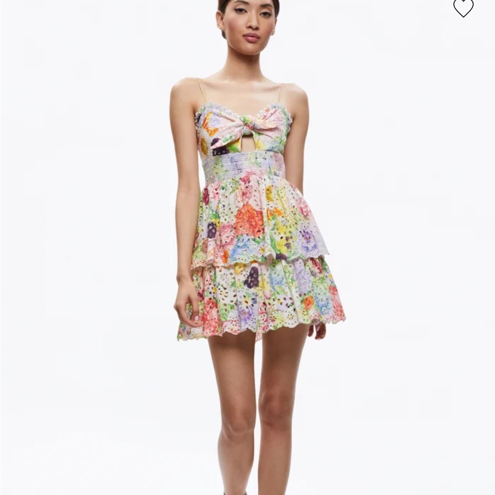 Alice + Olivia fina tie front smocked waist ruffle mini dress